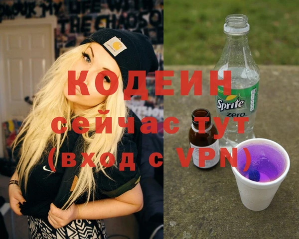 шишки Коряжма