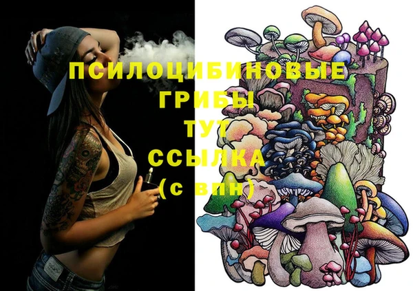 шишки Кулебаки