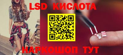 скорость Новозыбков