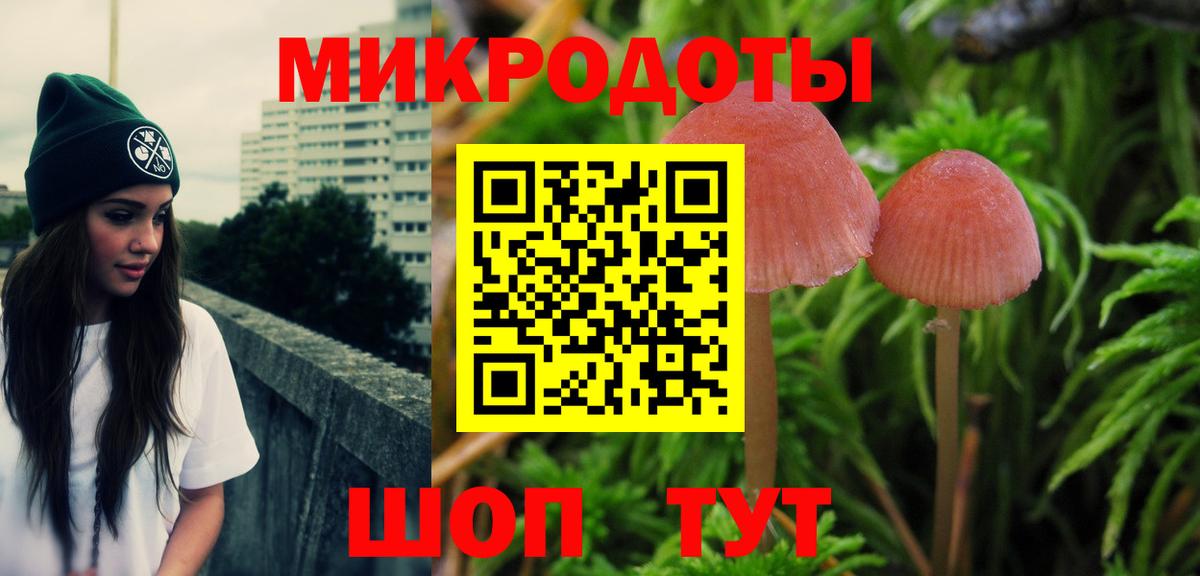 Псилоцибиновые грибы MAGIC MUSHROOMS  Вход с VPN  Темрюк  Псилоцибиновые грибы Cubensis 