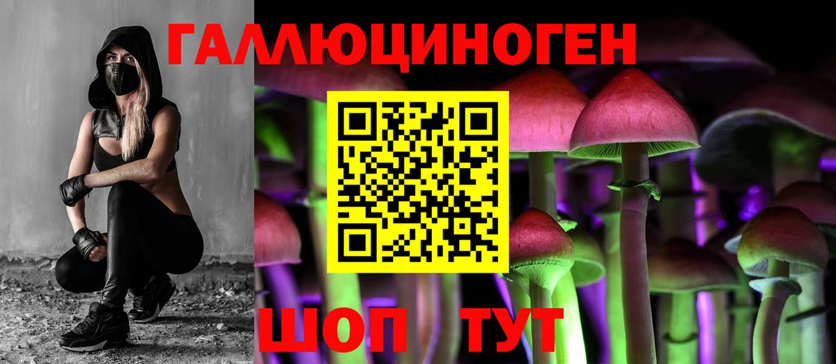 Темрюк  ГАШ  МАРИХУАНА  A PVP СК   Меф   Cocaine  МЕФ кристаллы  ГЕРОИН 