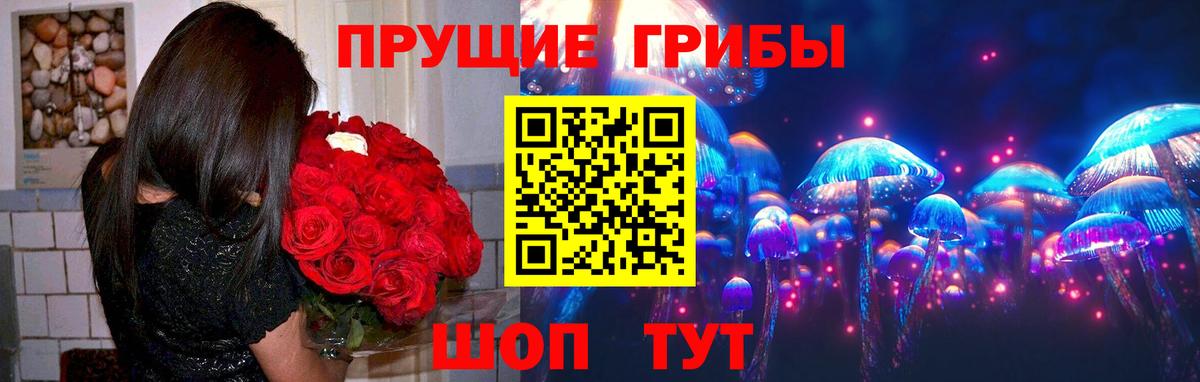Псилоцибиновые грибы прущие грибы Темрюк